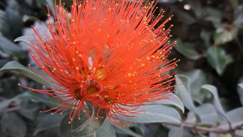 WhatsApp Image 2026-03-18 at 20.55.22